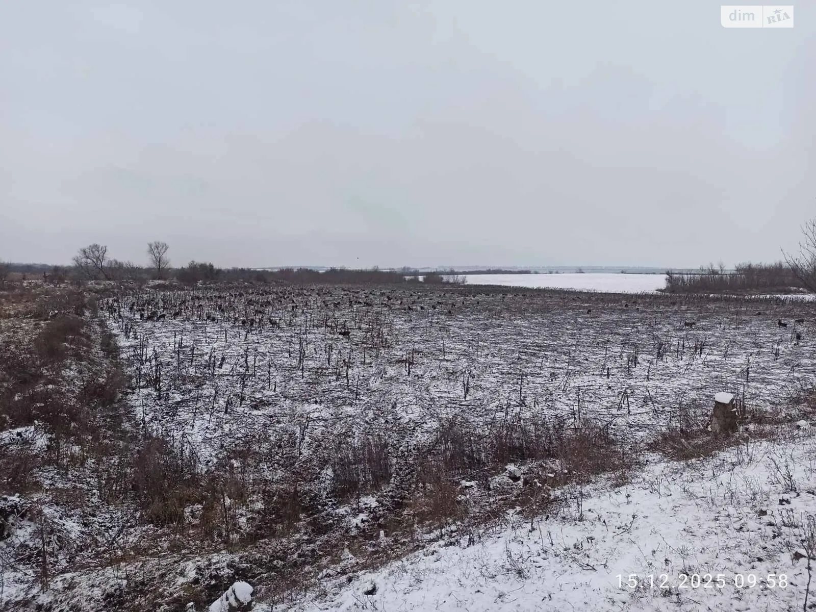 Сдается в аренду земельный участок 1.2109 соток в области, цена: 5658 грн - фото 1