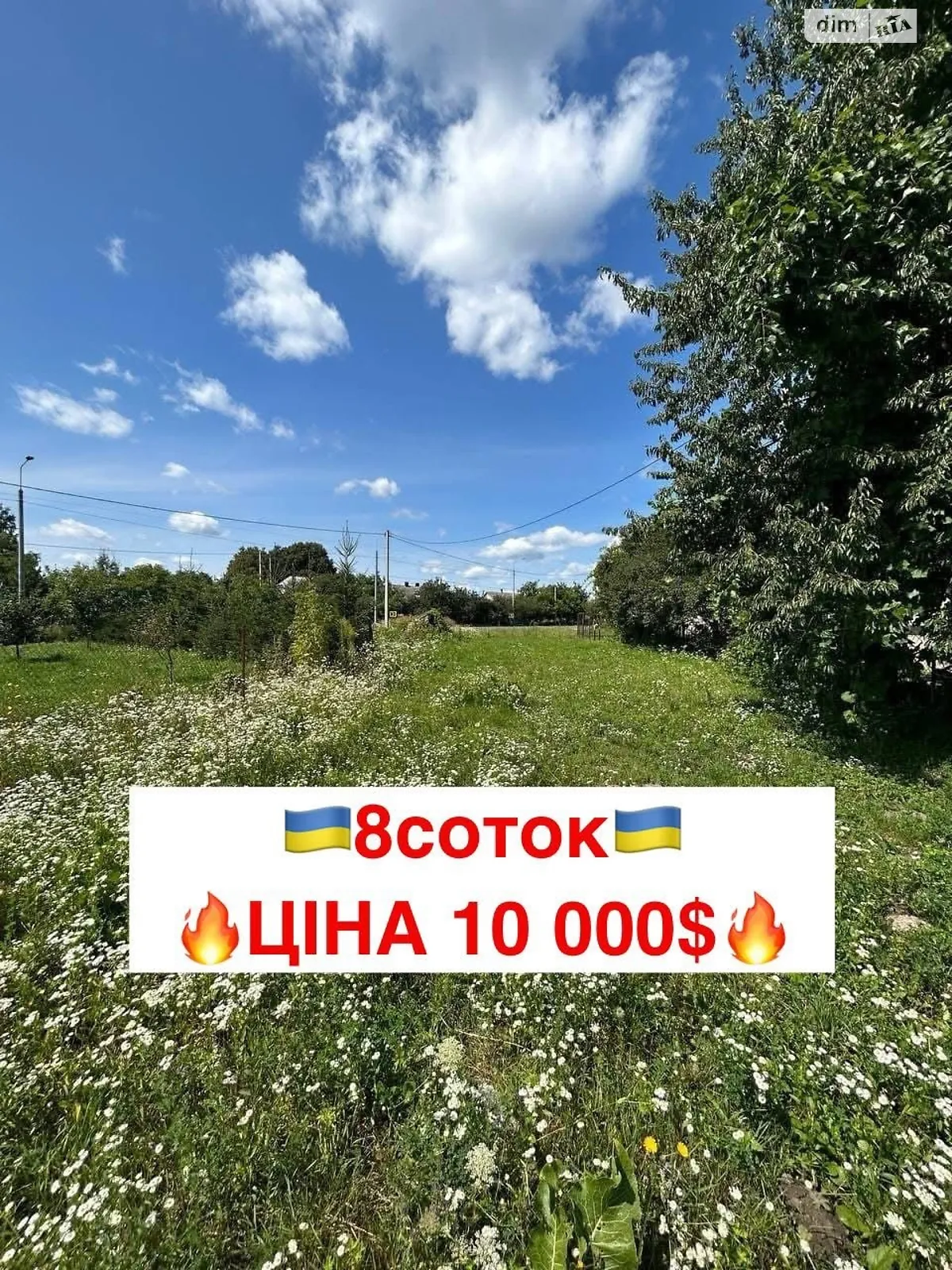 Продается земельный участок 8 соток в Тернопольской области, цена: 10000 $ - фото 1