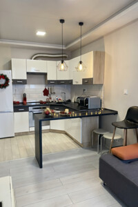 Долгосрочная аренда квартиры, Днепр, р‑н. Парк Шевченко, Акинфиева Ивана улица, дом 30А