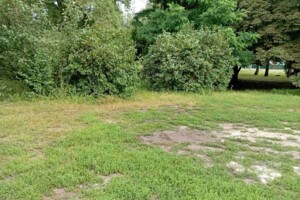 Аренда участков