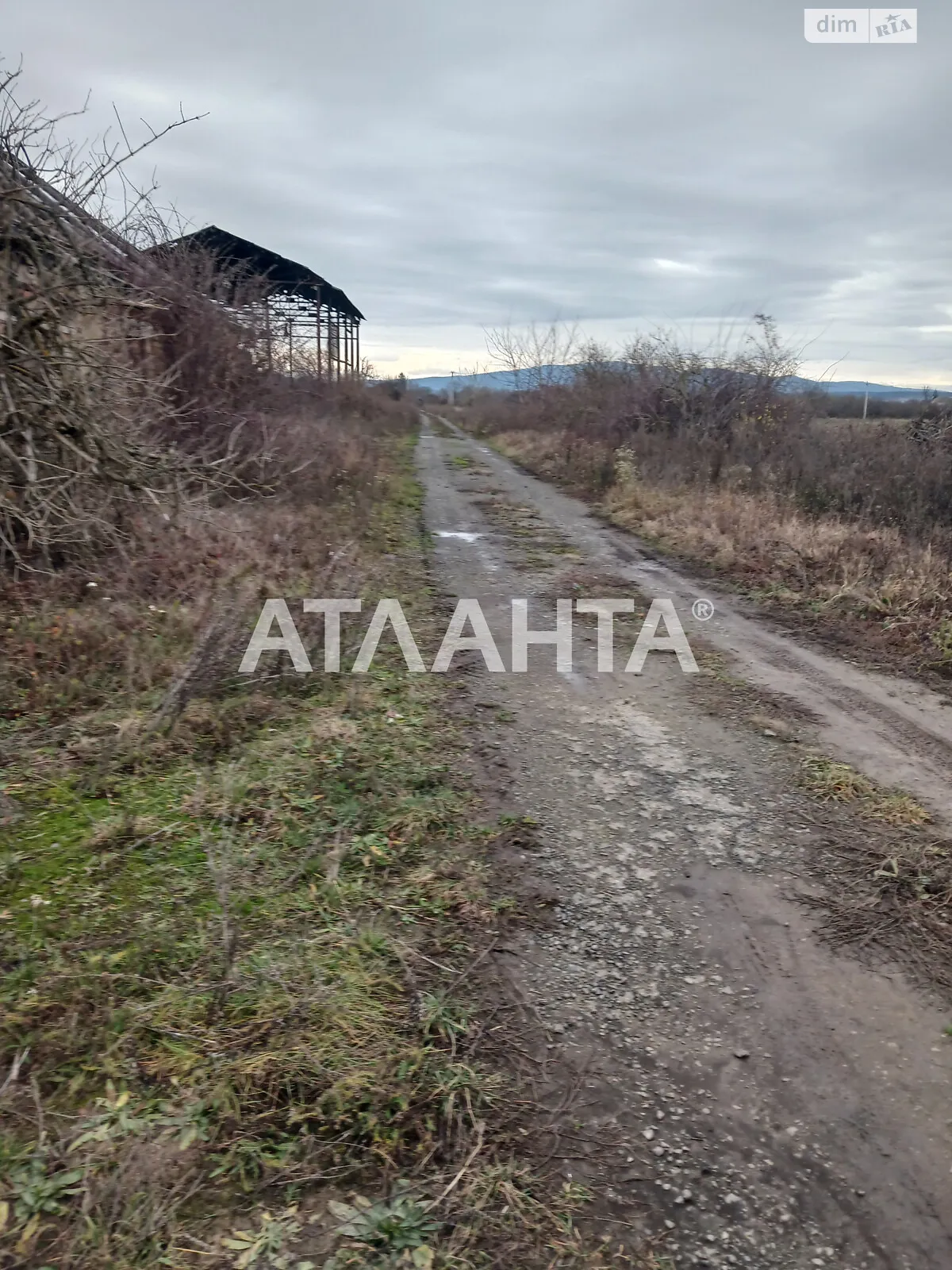 Продається земельна ділянка 400 соток у Закарпатській області, цена: 800000 $ - фото 1