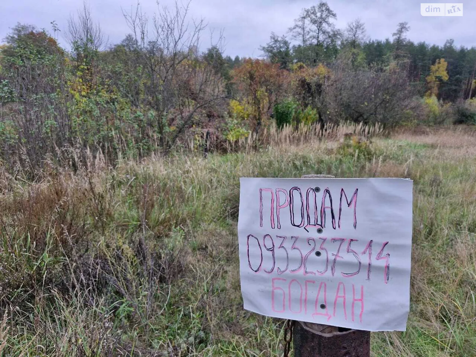 Васильков, цена: 16000 $ - фото 1