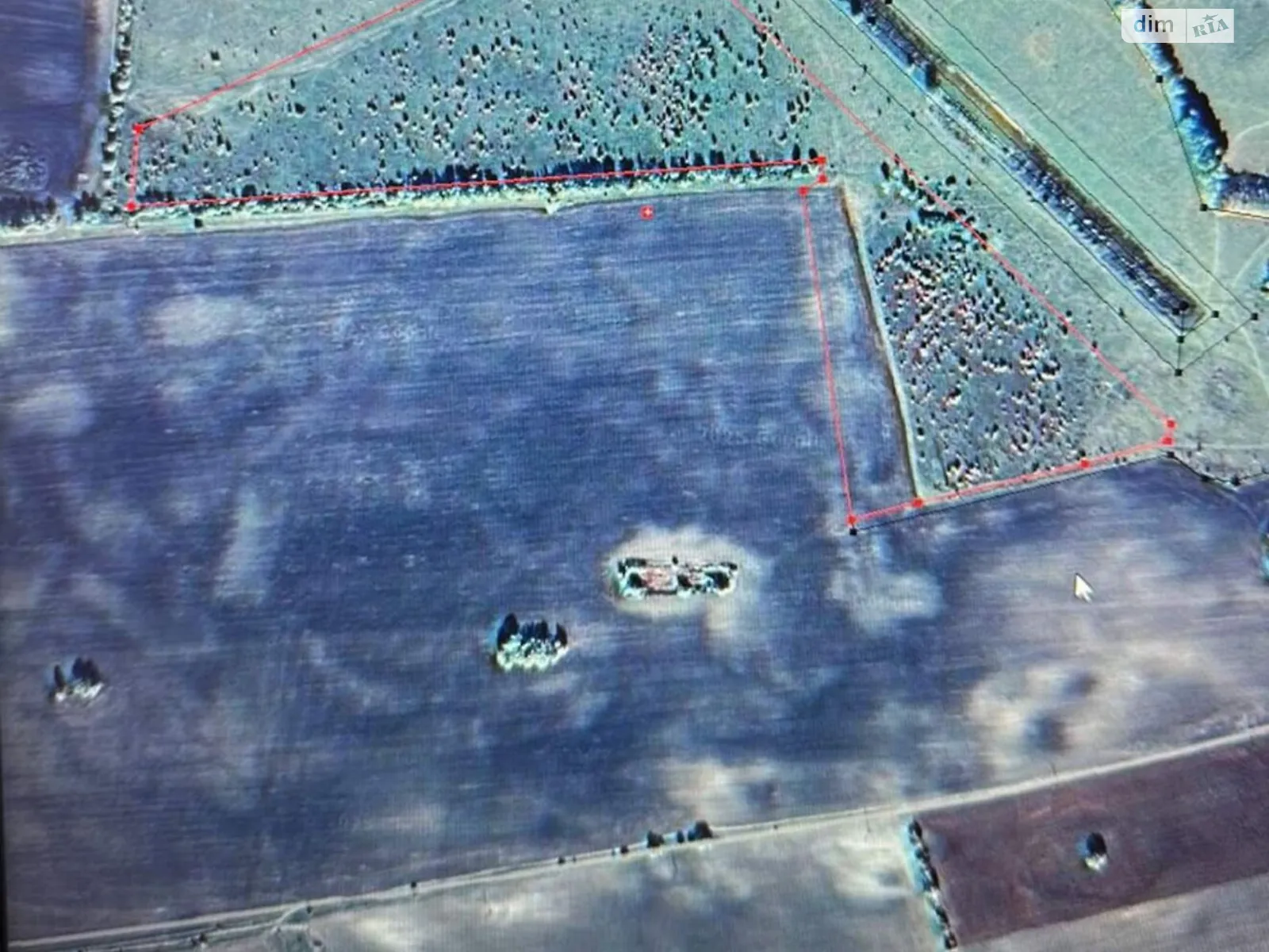 Сдается в аренду земельный участок 20 соток в Черниговской области, цена: 36338 грн - фото 1