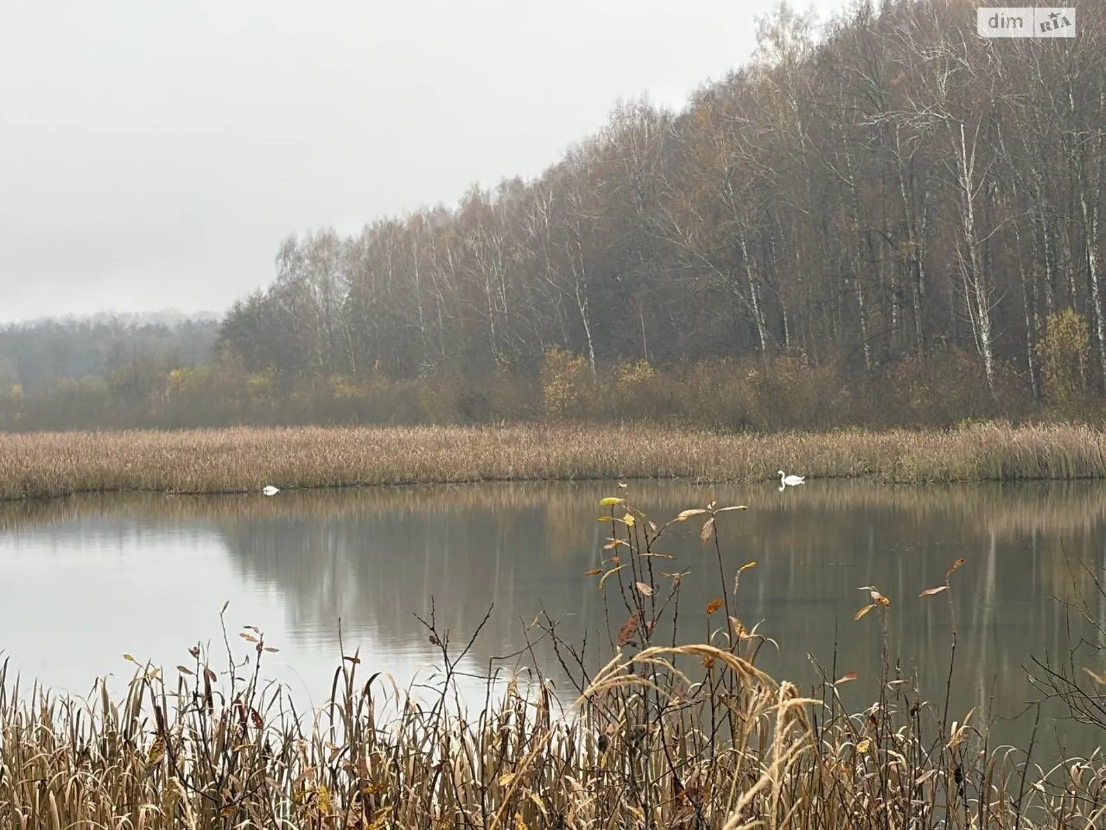 Сдается в аренду земельный участок 2.1692 соток в Винницкой области, цена: 3351 грн - фото 1