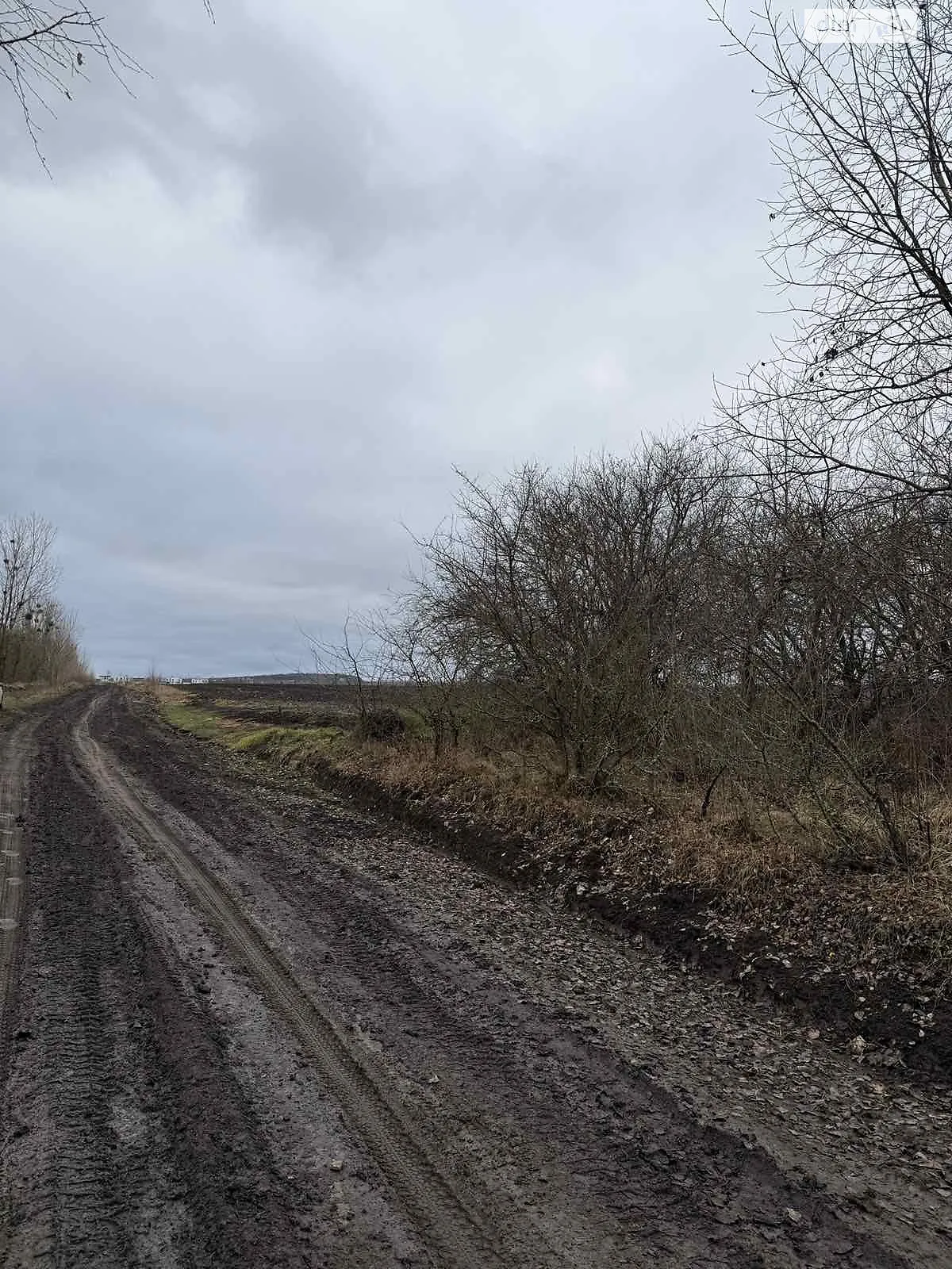 Продается земельный участок 12 соток в Хмельницкой области, цена: 13700 $ - фото 1