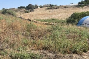 Купить землю под застройку в Одесской области