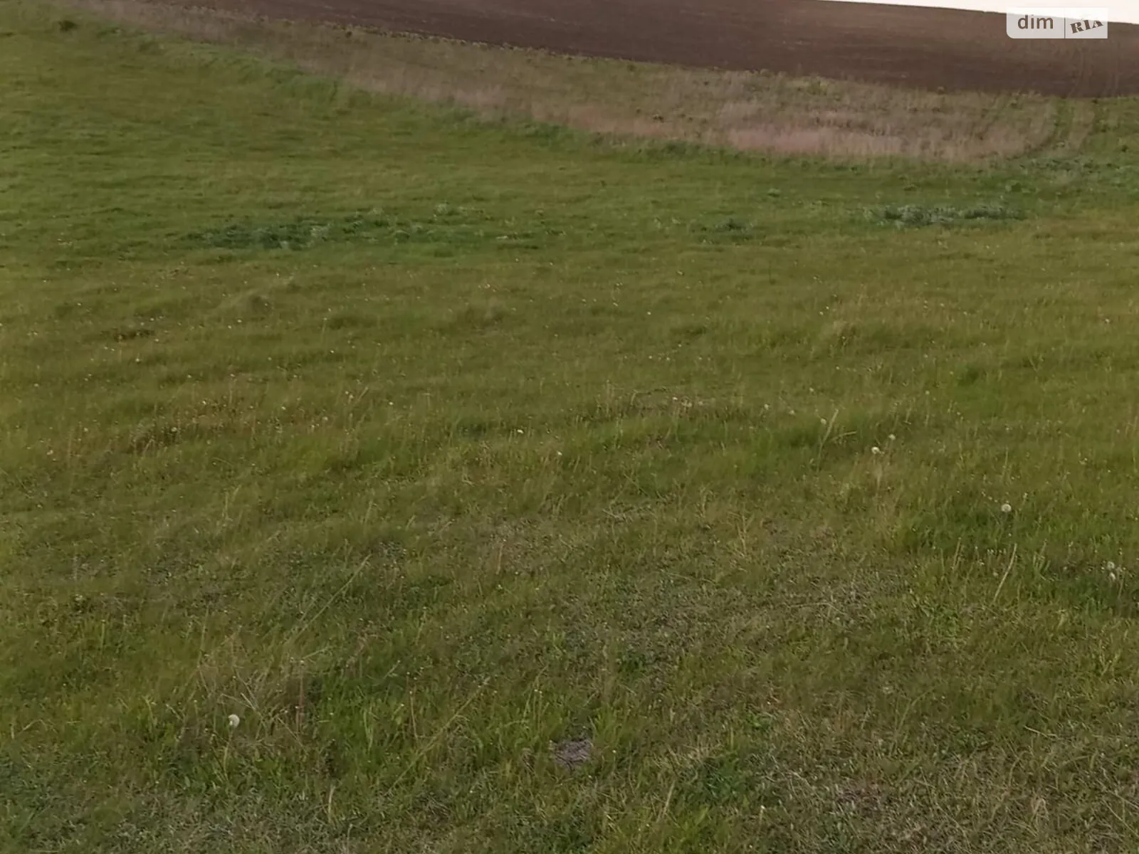 Сдается в аренду земельный участок 2.5 соток в Винницкой области, цена: 10029 грн - фото 1