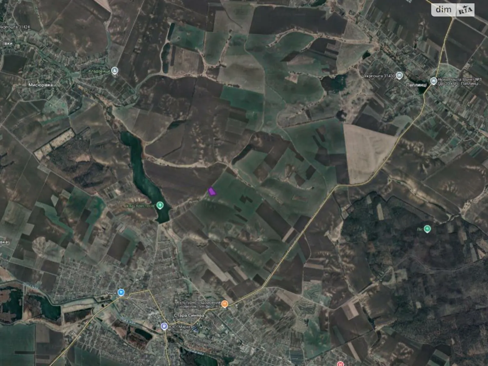 Старая Синява, цена: 200000 грн - фото 1