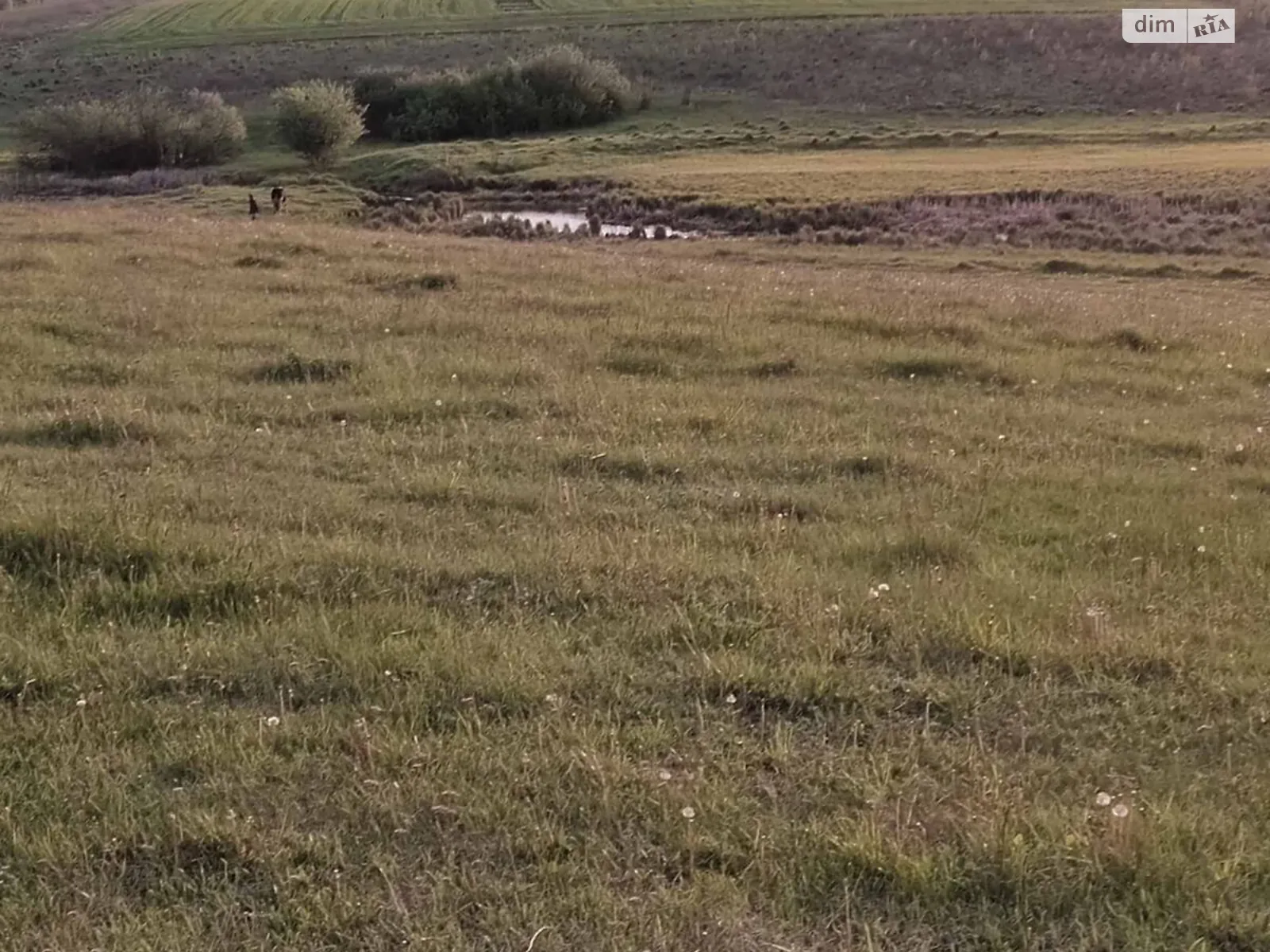 Сдается в аренду земельный участок 3.322 соток в Винницкой области, цена: 16309 грн - фото 1