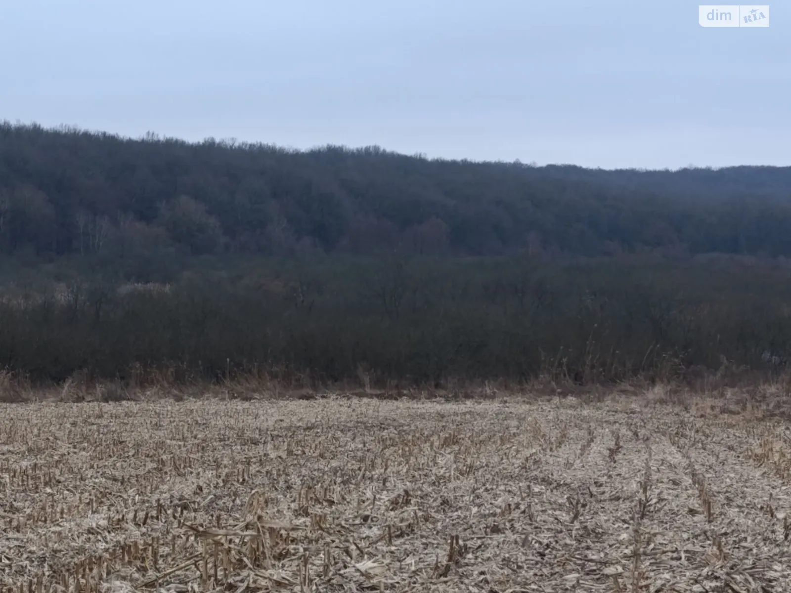 Сдается в аренду земельный участок 14.2157 соток в Львовской области, цена: 25655 грн - фото 1