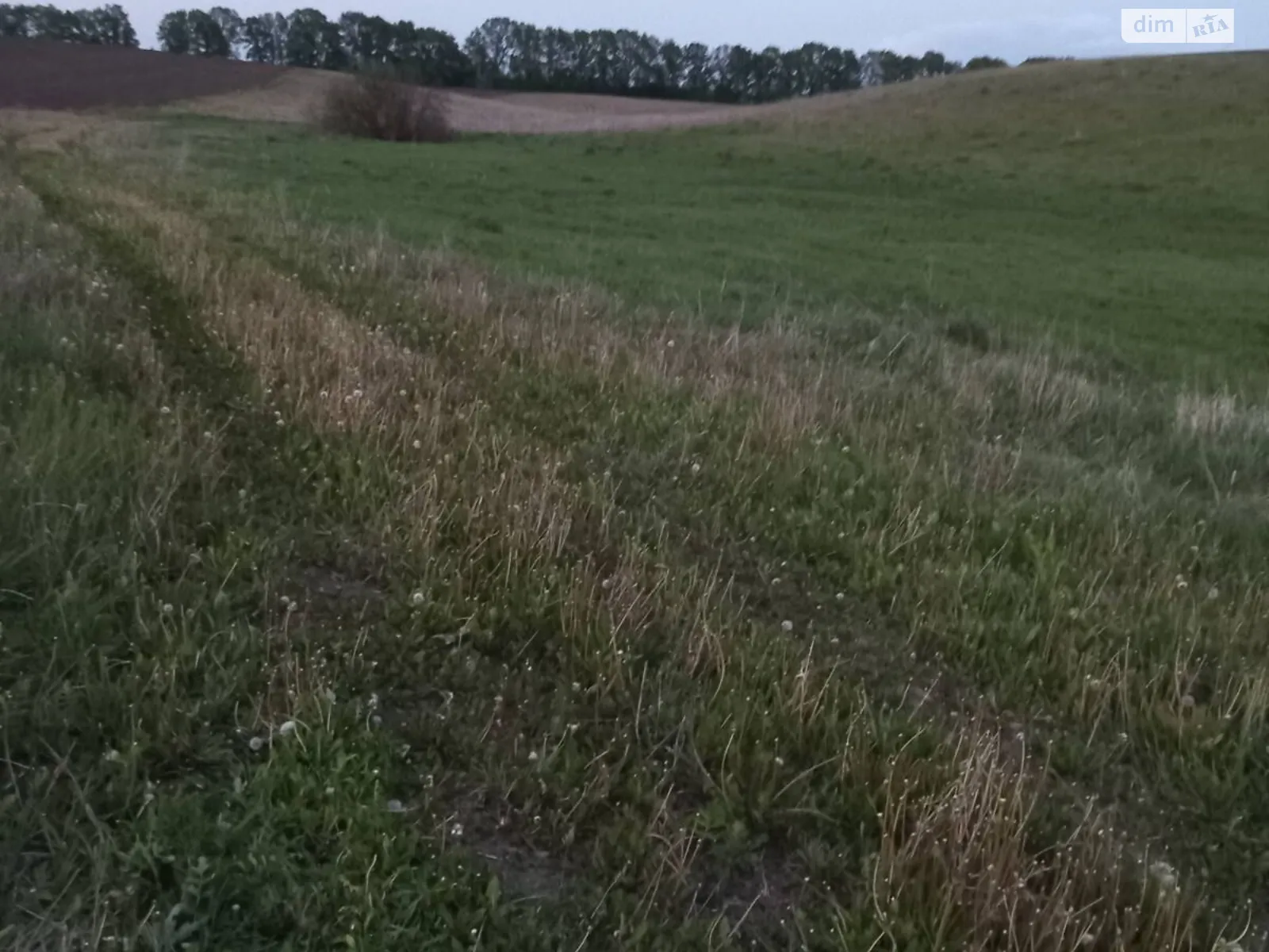 Сдается в аренду земельный участок 2 соток в Винницкой области, цена: 8322 грн - фото 1