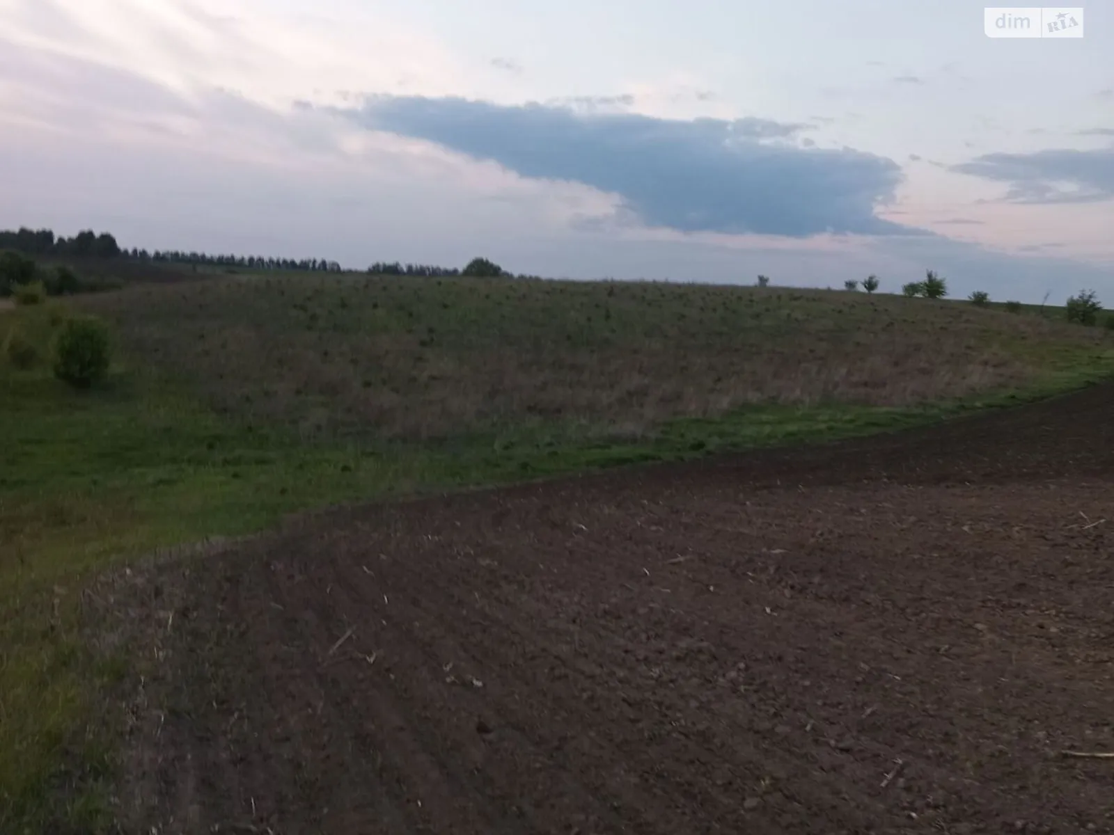 Сдается в аренду земельный участок 1.3499 соток в Винницкой области, цена: 6738 грн - фото 1