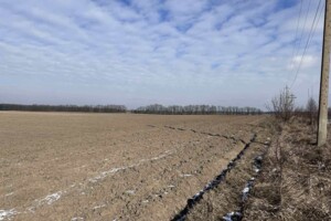 Продажа земли сельскохозяйственного назначения, Винницкая, Юзвин, Винницкая улица