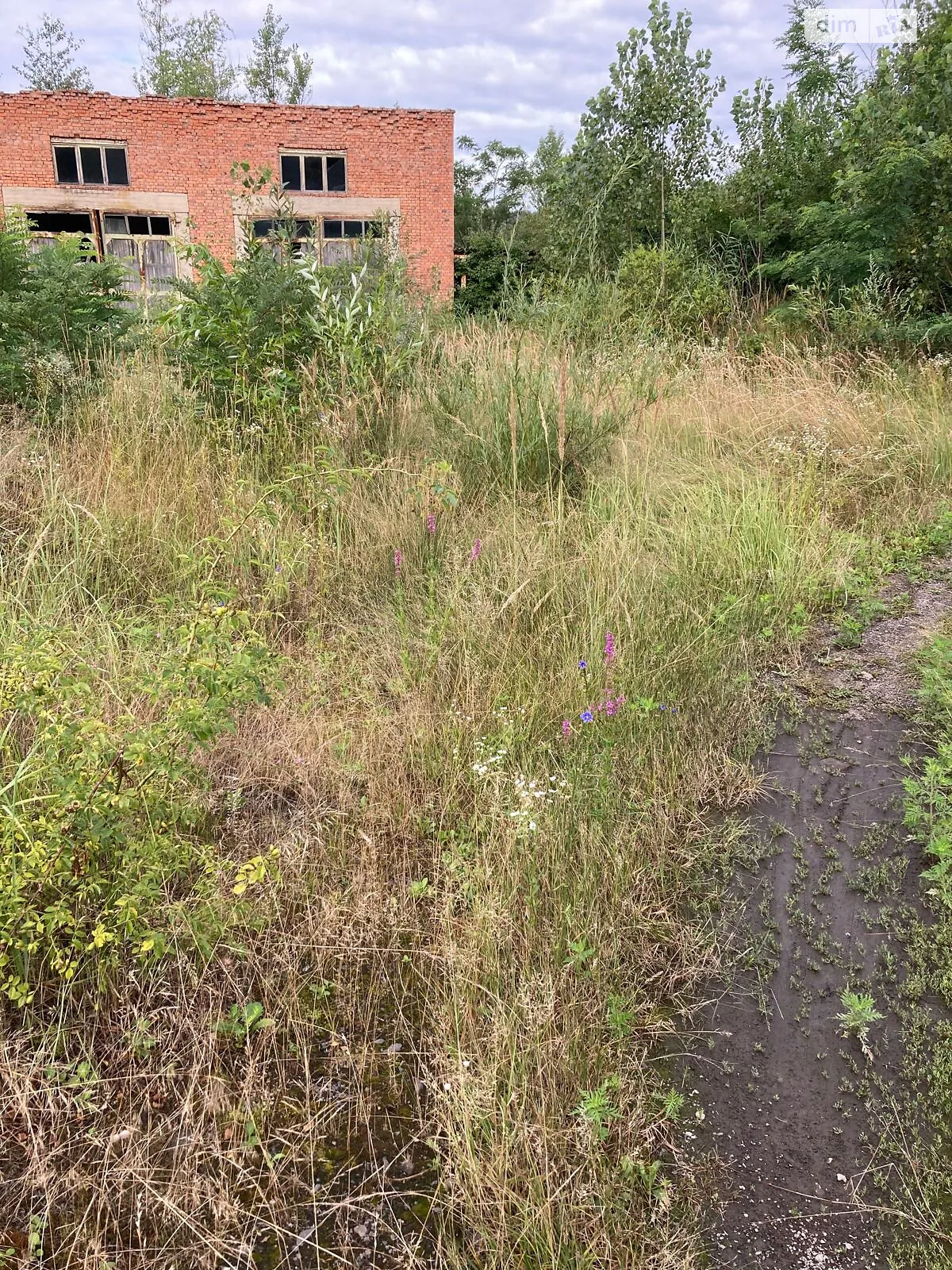 Кольчино, цена: 11700 грн - фото 1