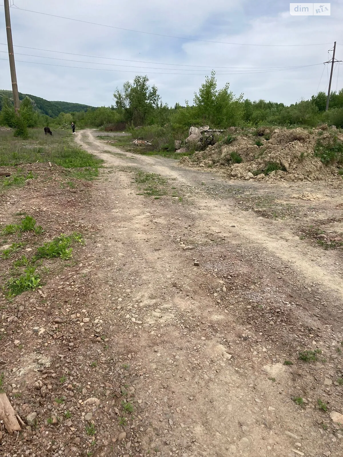 Сдается в аренду земельный участок 0.42 соток в Закарпатской области, цена: 10920 грн - фото 1