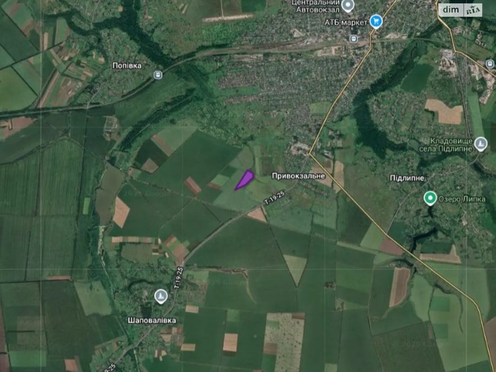 Шаповалівка, цена: 25000 грн - фото 1