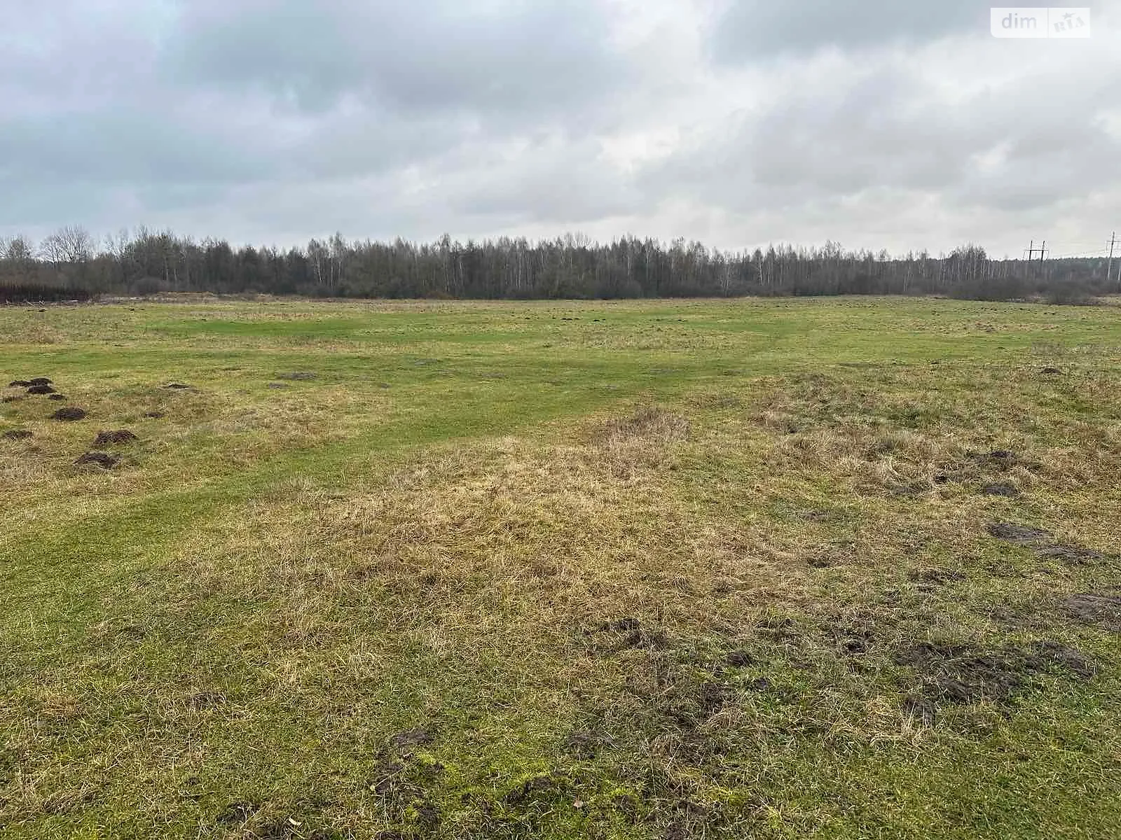 Сдается в аренду земельный участок 3.6464 соток в Волынской области, цена: 8289 грн - фото 1