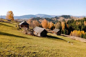 Продажа дома, Ивано-Франковская, Долгополе, Полянечник улица