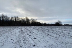 Продажа земли сельскохозяйственного назначения, Тернопольская, Великий Ходачков, Железнодорожная улица