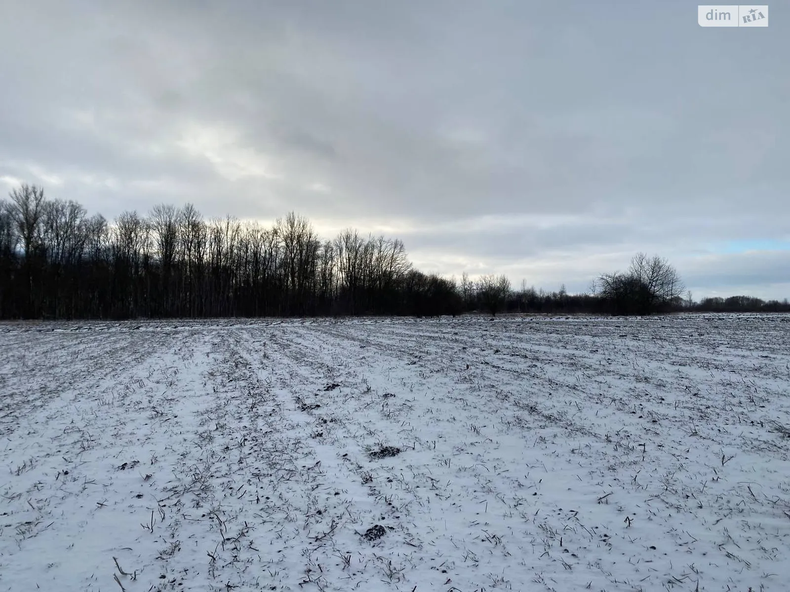 Продається земельна ділянка 54 соток у Тернопільській області, цена: 8000 $ - фото 1