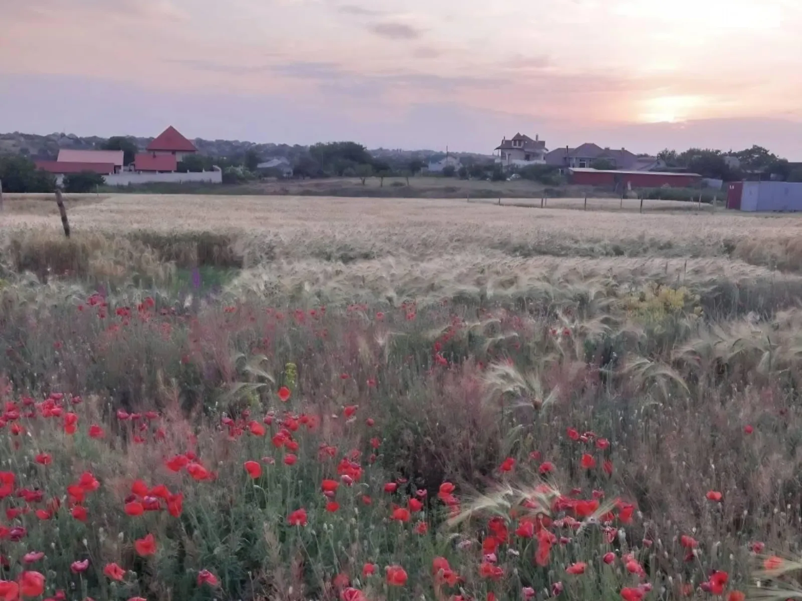 Продается земельный участок 10 соток в Одесской области, цена: 7000 $ - фото 1