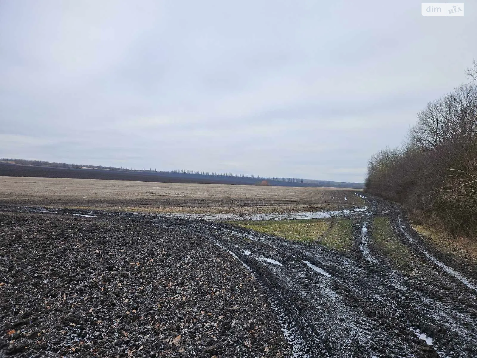 Здається в оренду земельна ділянка 15 соток у Хмельницькій області, цена: 94769 грн - фото 1