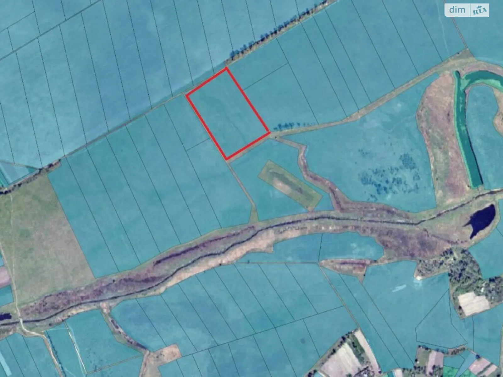 Борзна, цена: 14678 грн - фото 1