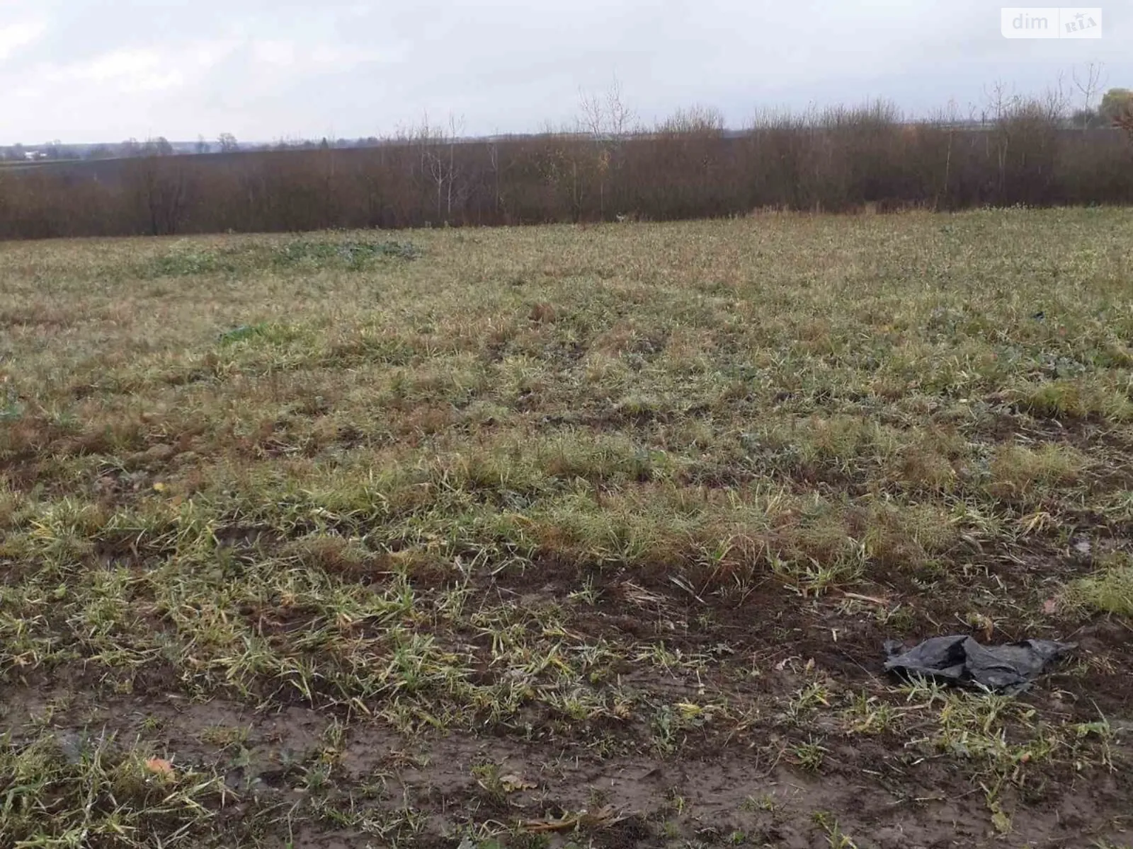 Тулиголовое, цена: 20032 грн - фото 1