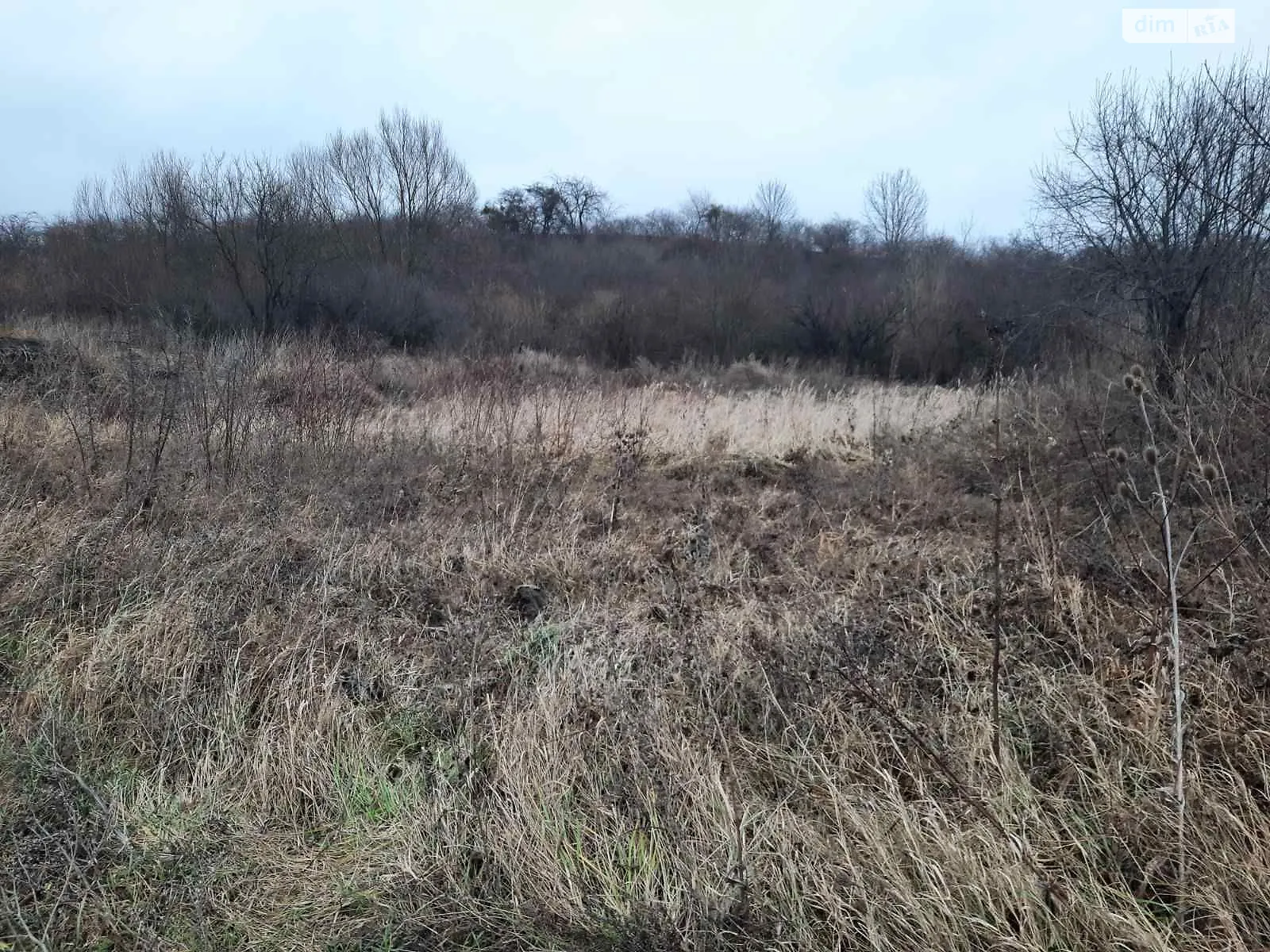 Сдается в аренду земельный участок 2.3444 соток в Львовской области, цена: 7971 грн - фото 1