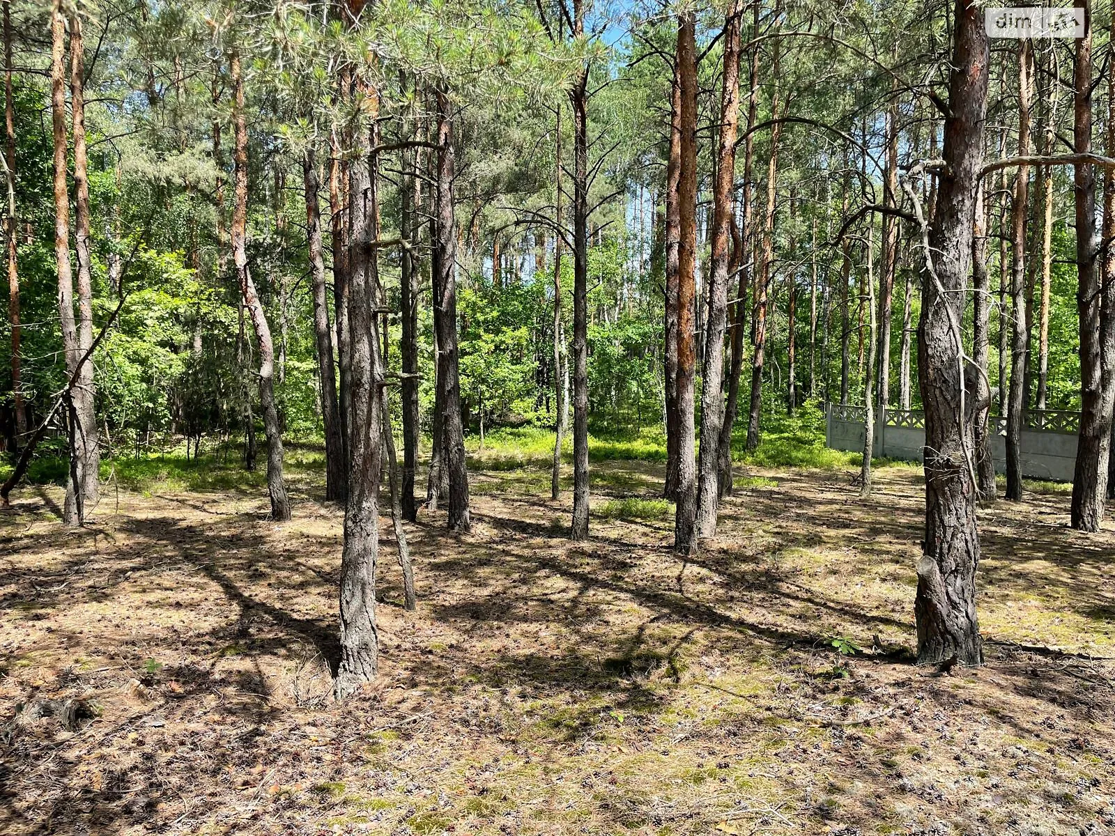 Продается земельный участок 0.1676 соток в Волынской области, цена: 1018891 грн - фото 1