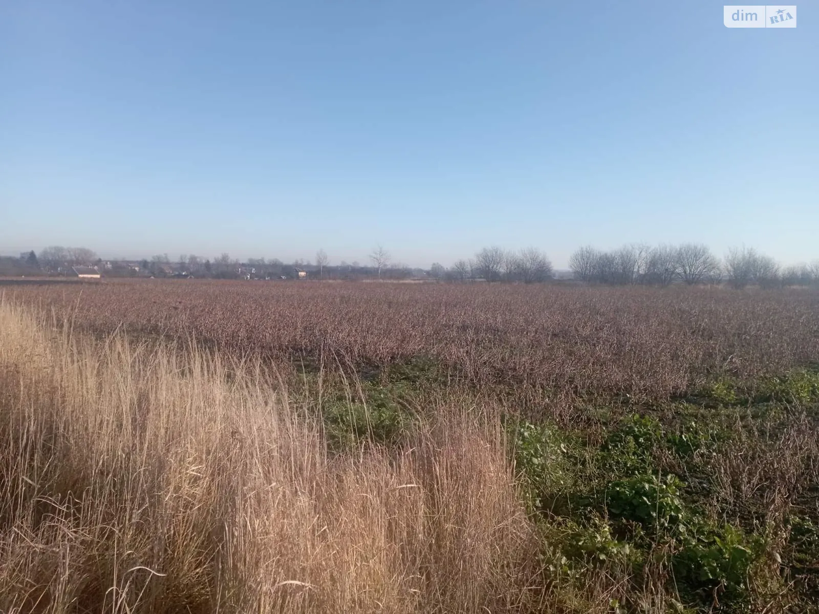 Переможное, цена: 73827 грн - фото 1