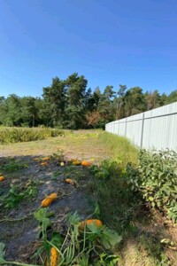 Продаж ділянки під житлову забудову, Тернопільська, Сапанів, Затишна вулиця