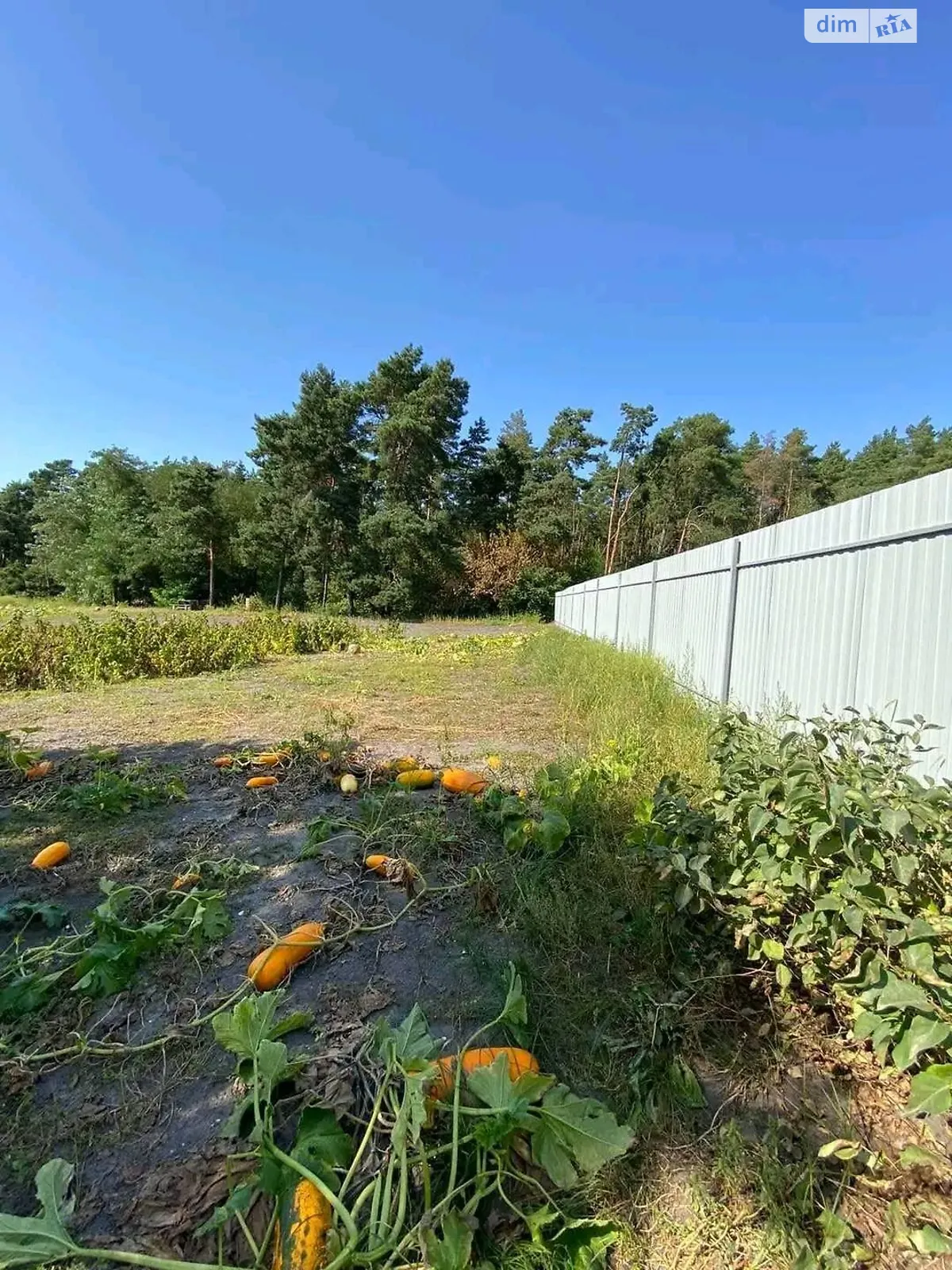 Продается земельный участок 11.06 соток в Тернопольской области, цена: 4000 $ - фото 1