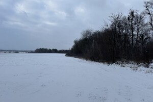 Продажа земли сельскохозяйственного назначения, Винницкая, Ксаверовка