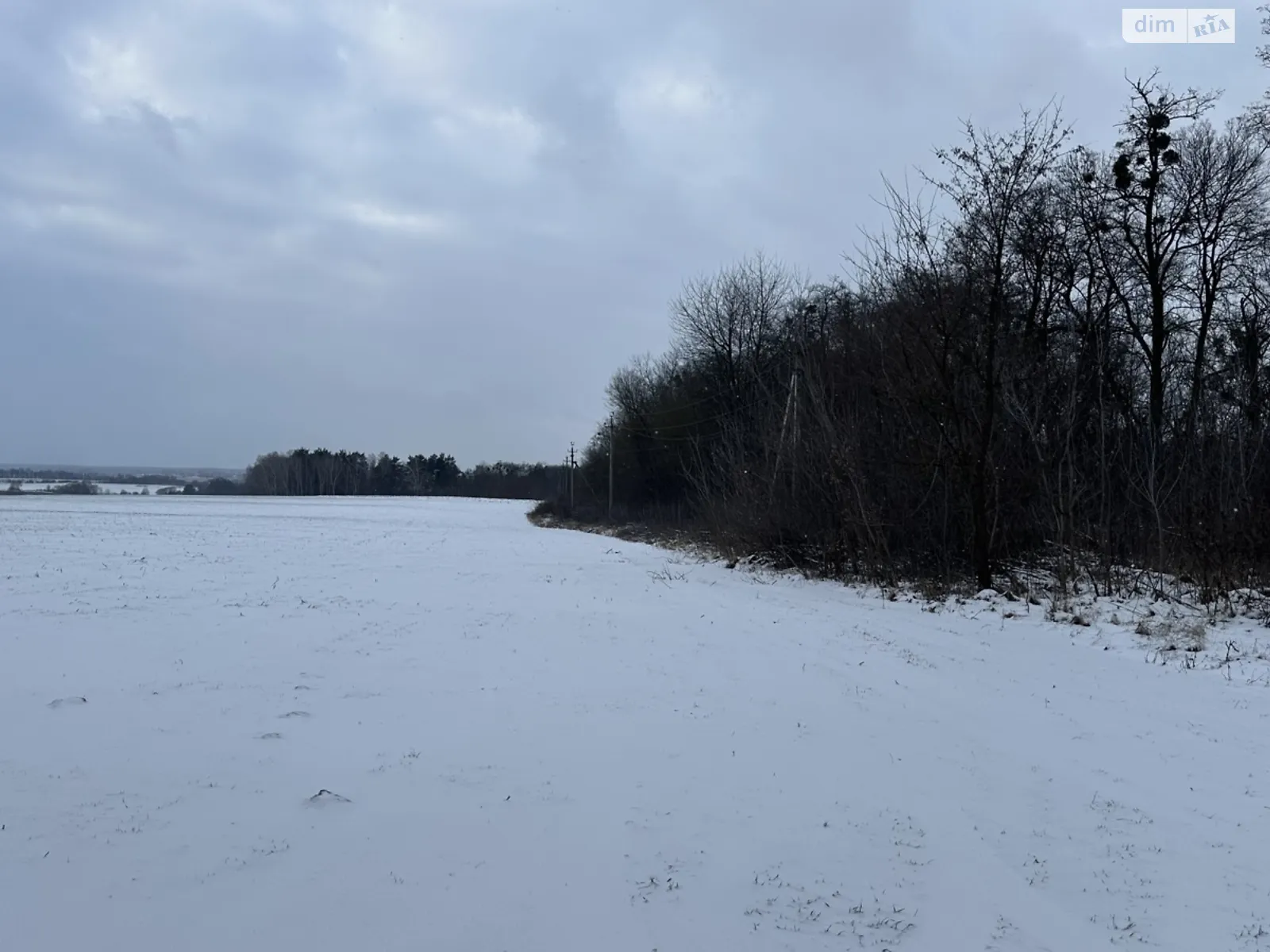 Ксаверовка, цена: 50000 $ - фото 1