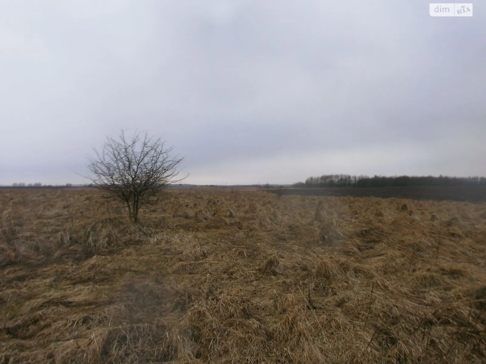 Продается земельный участок 0.6 соток в Львовской области, цена: 1698000 грн - фото 1