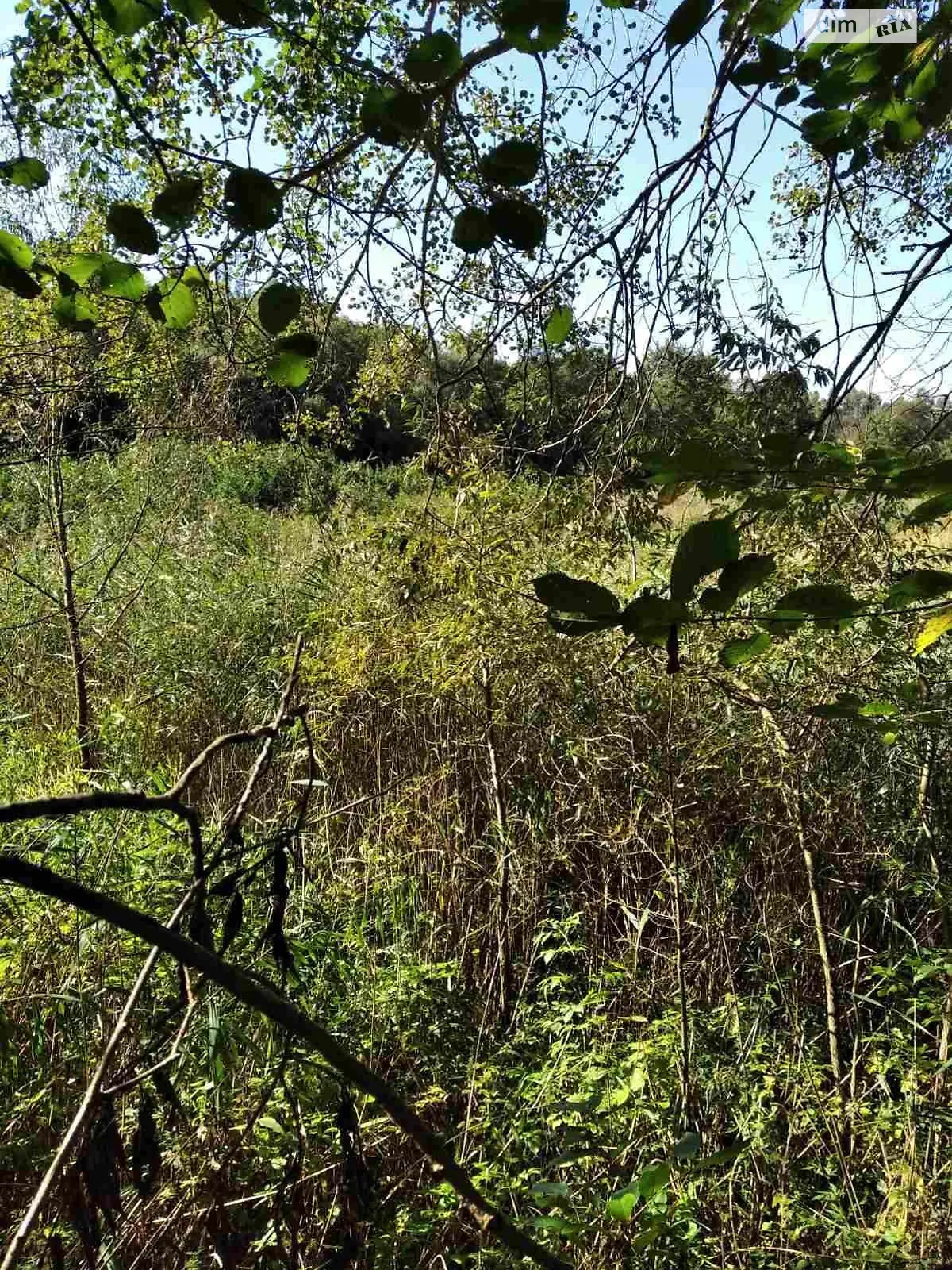 Сдается в аренду земельный участок 0.6146 соток в Львовской области, цена: 435 грн - фото 1