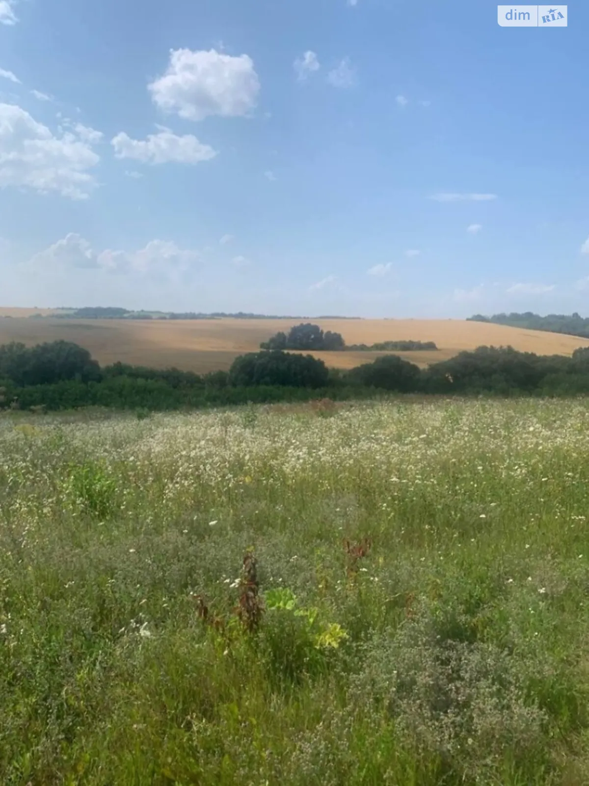 Продается земельный участок 0.3039 соток в Хмельницкой области, цена: 15000 $ - фото 1