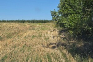 Аренда участков