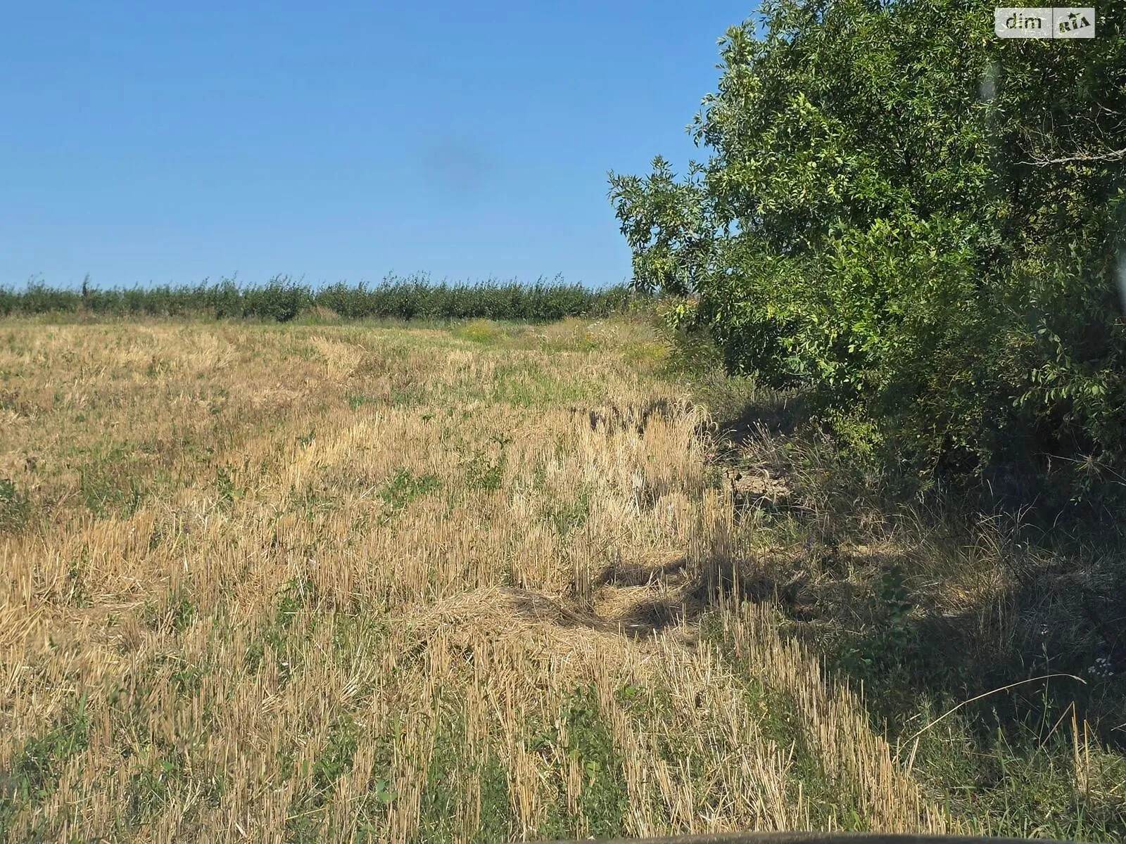 Садковцы (Могилев-Подольский), цена: 2436 грн - фото 1