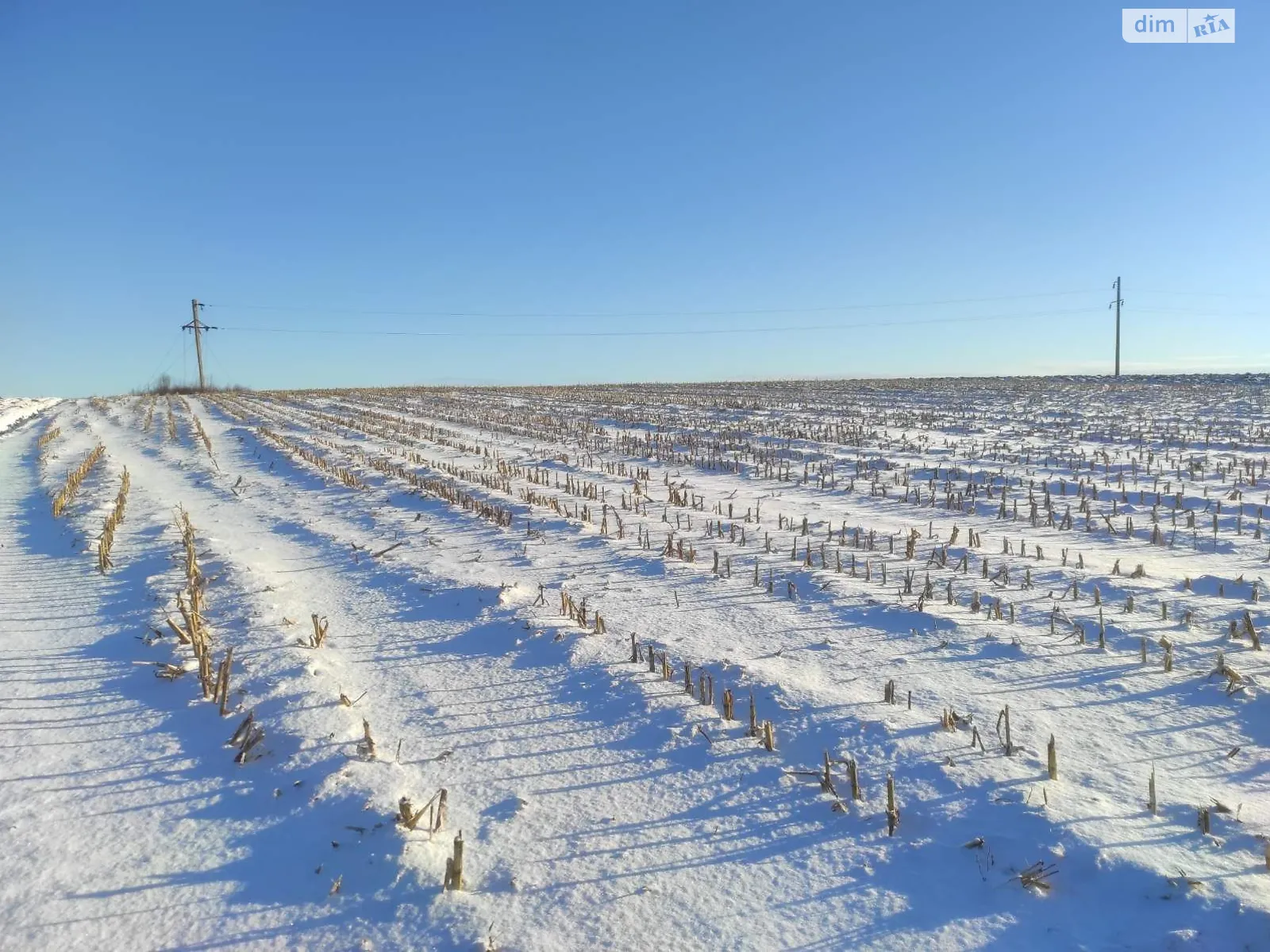 Антоновка, цена: 90241 грн - фото 1