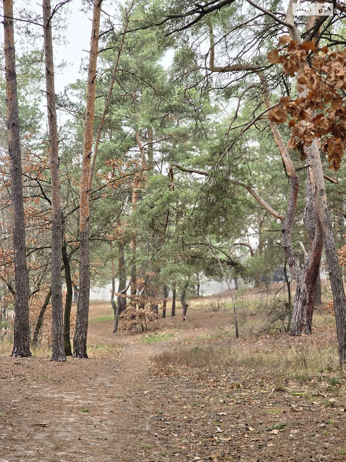 Продается земельный участок 10 соток в Киевской области, цена: 89450 $ - фото 1