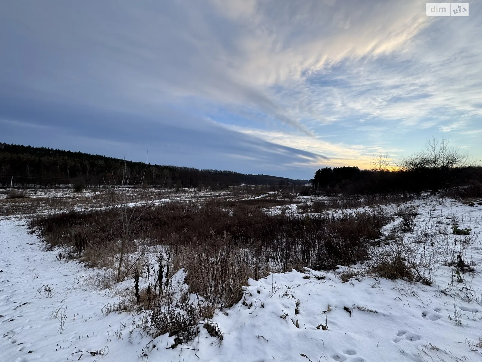 Прибузьке (Шкуринці), цена: 85000 $ - фото 1