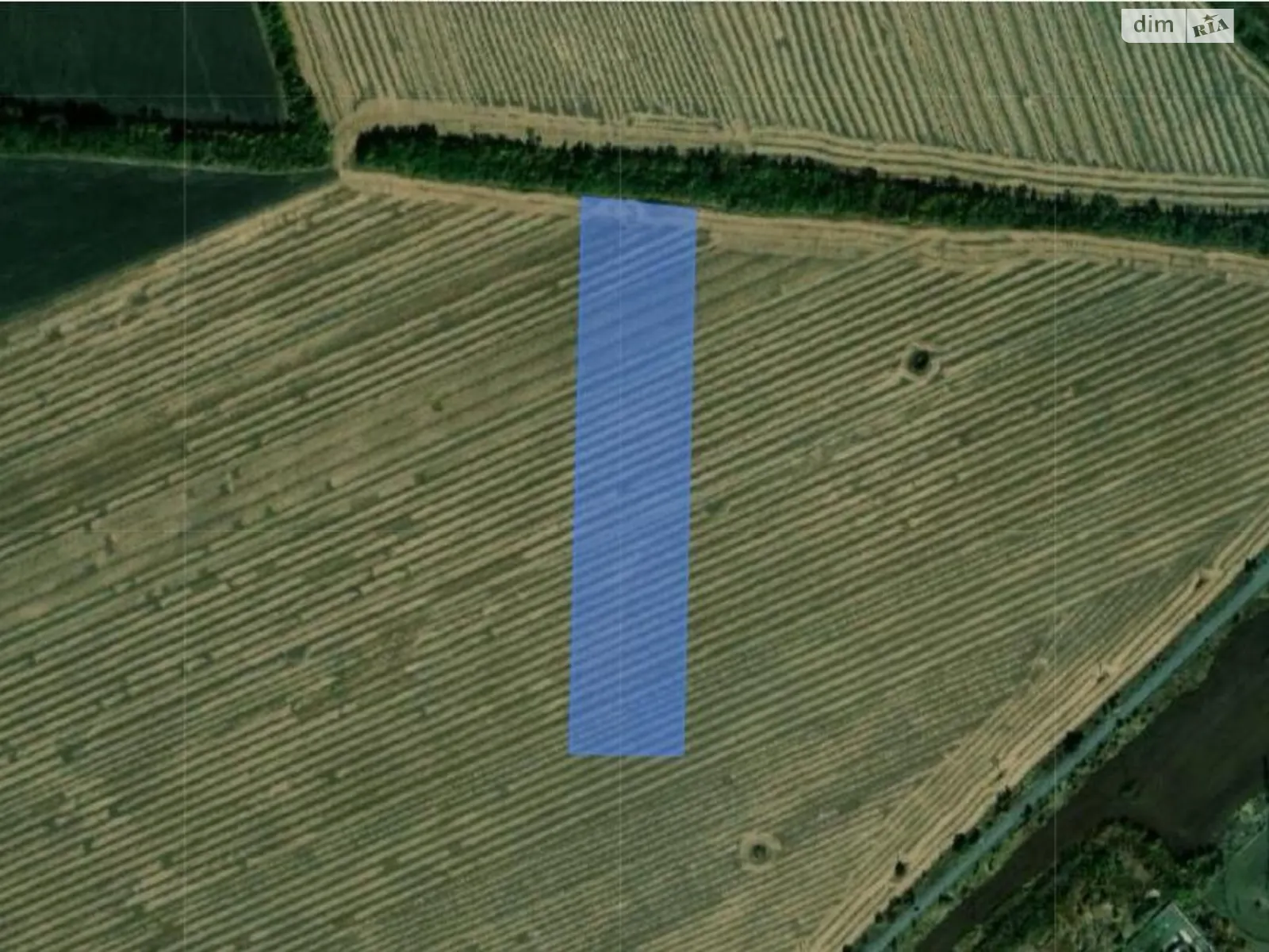 Продается земельный участок 5.2502 соток в Полтавской области, цена: 21001 $ - фото 1