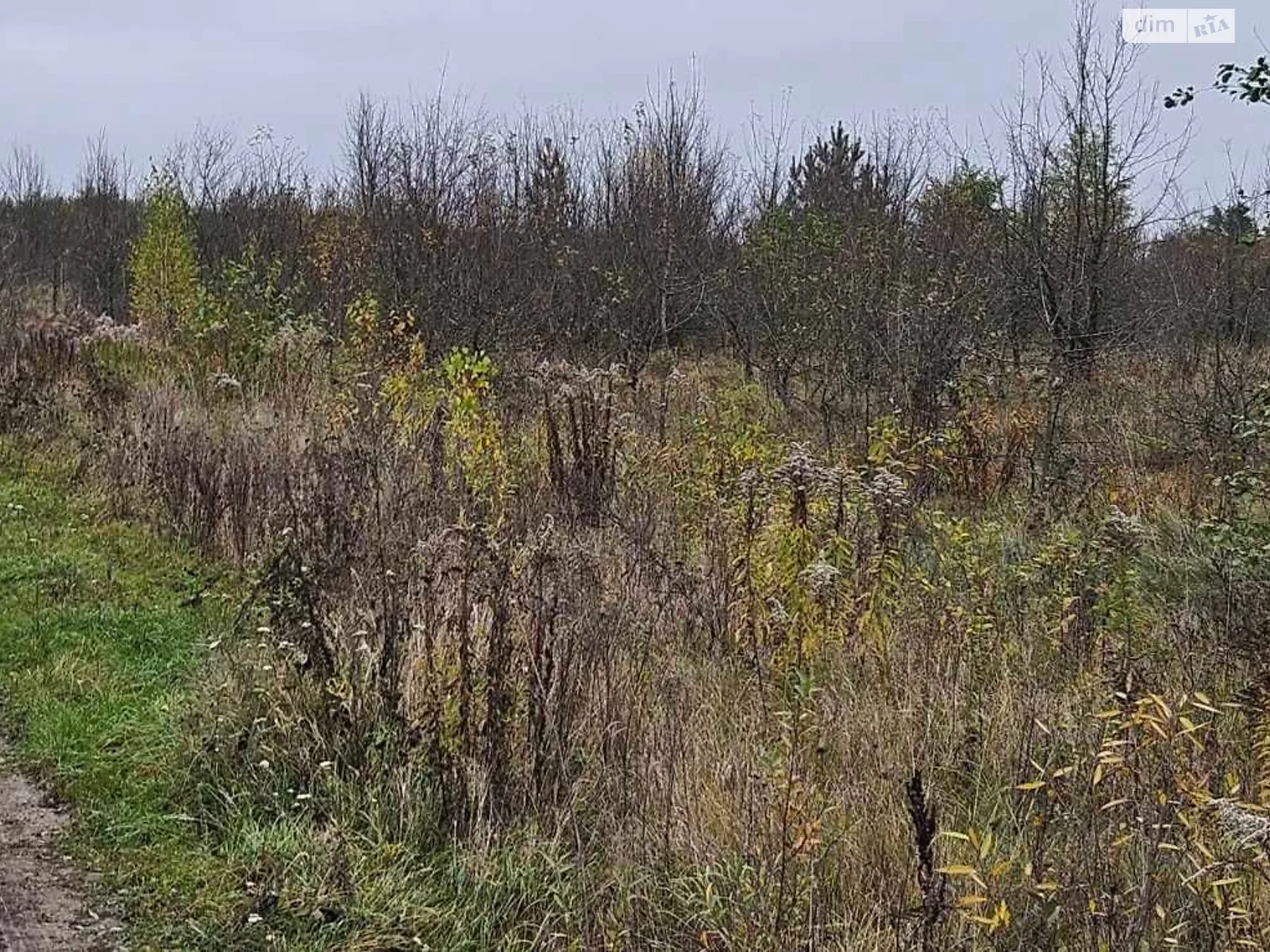 Сдается в аренду земельный участок 16.075 соток в области, цена: 45651 грн - фото 1