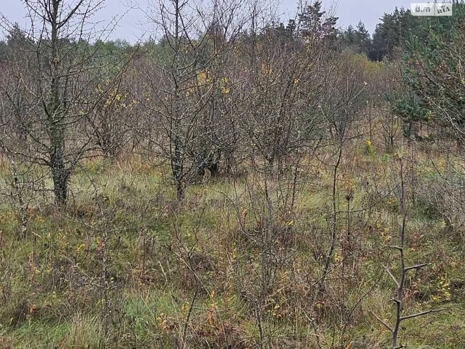 Сдается в аренду земельный участок 2.1173 соток в области, цена: 1200 грн - фото 1