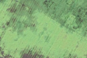 Купить землю под застройку в Черниговской области