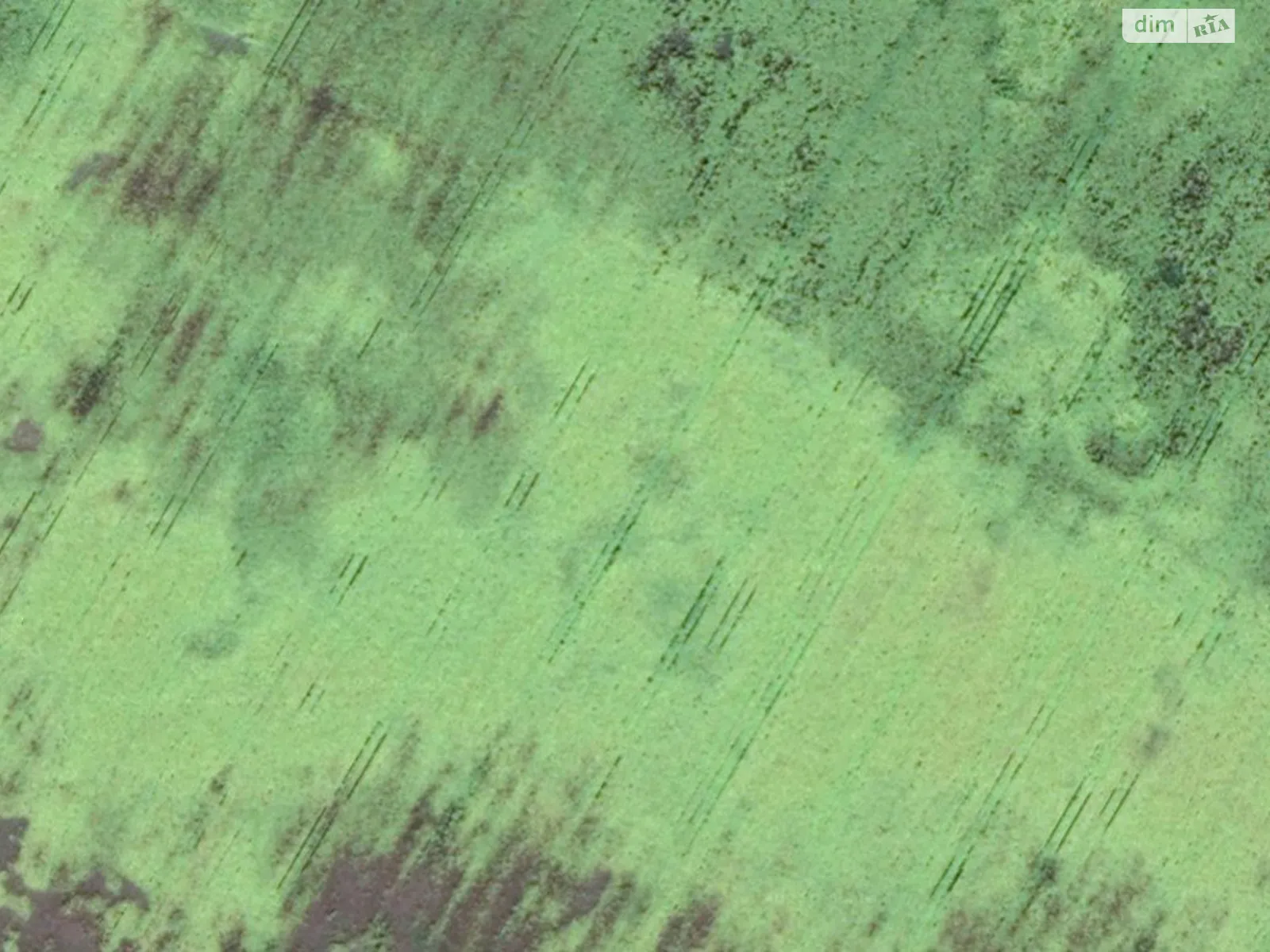 Продается земельный участок 5.1848 соток в Черниговской области, цена: 141000 грн - фото 1