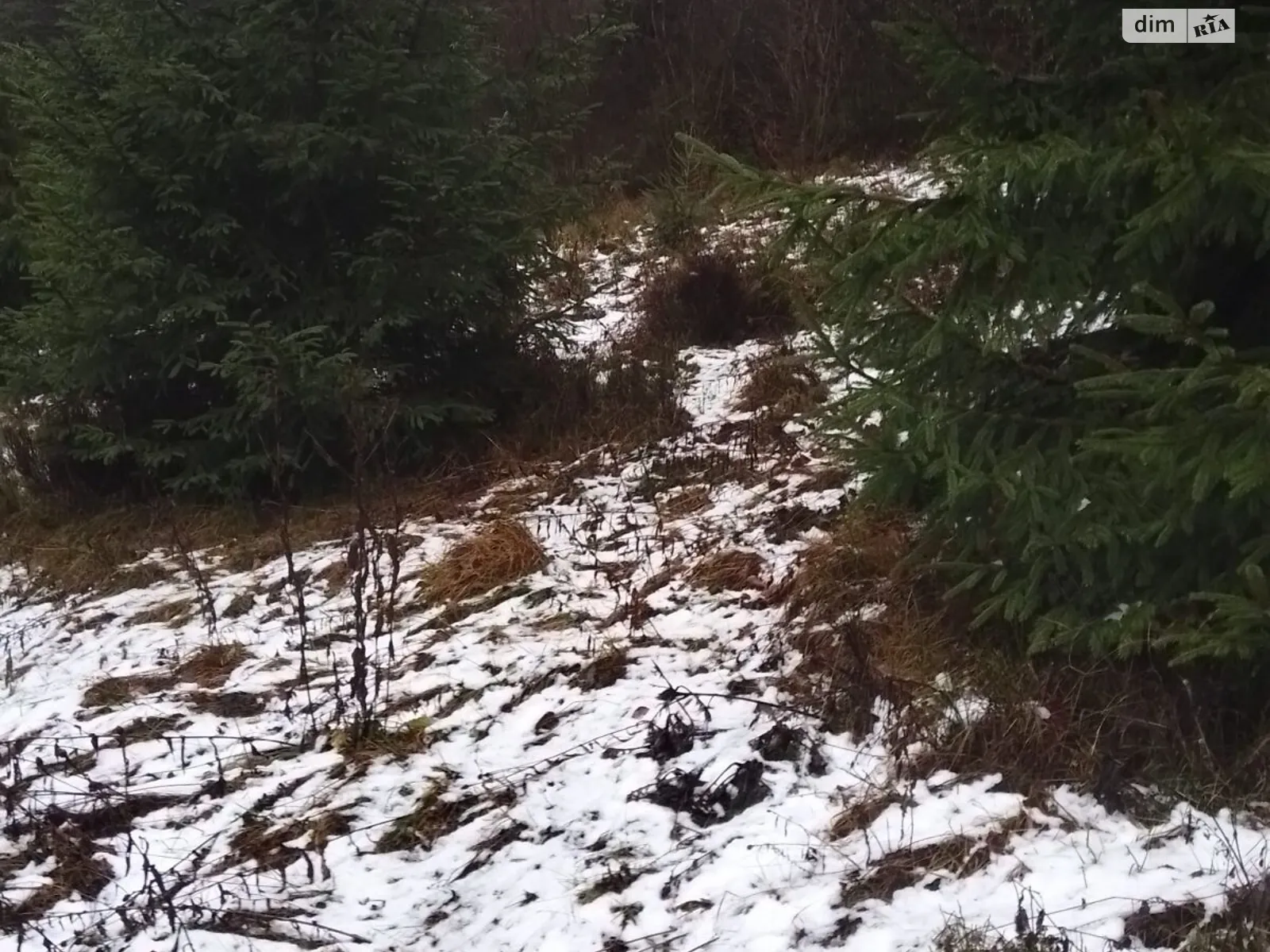 Продається земельна ділянка 0.3646 соток у Закарпатській області, цена: 841314 грн - фото 1