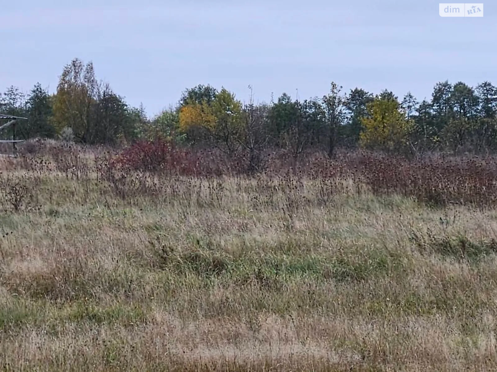 Киянка (Новоград-Волинський), цена: 1590 грн - фото 1